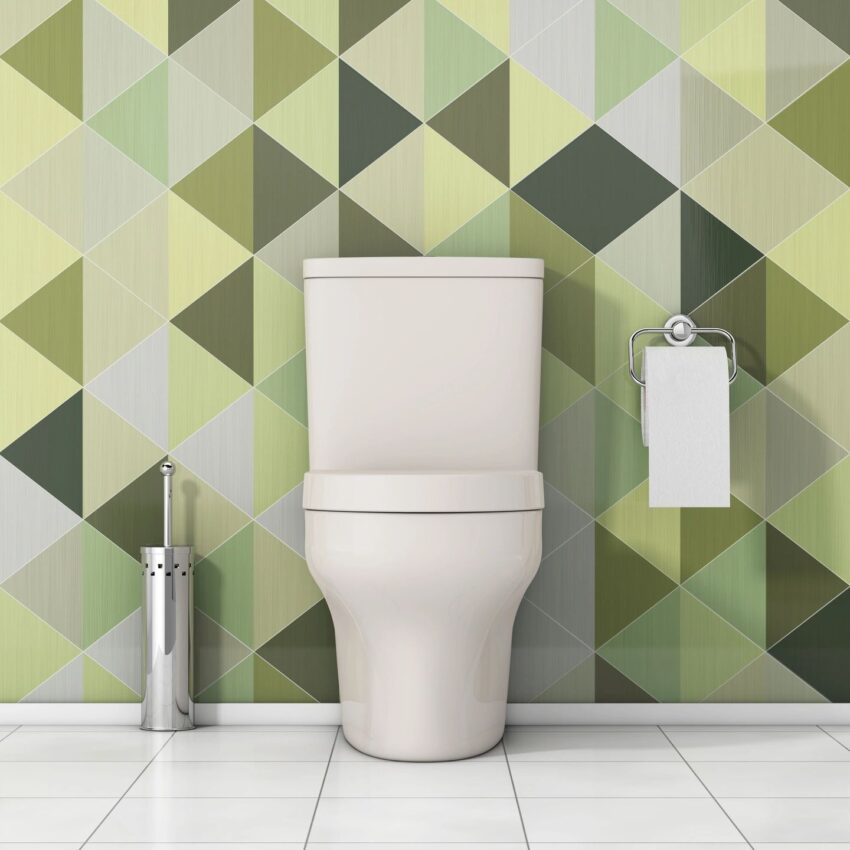 a toilet for the article home remedies for constipation