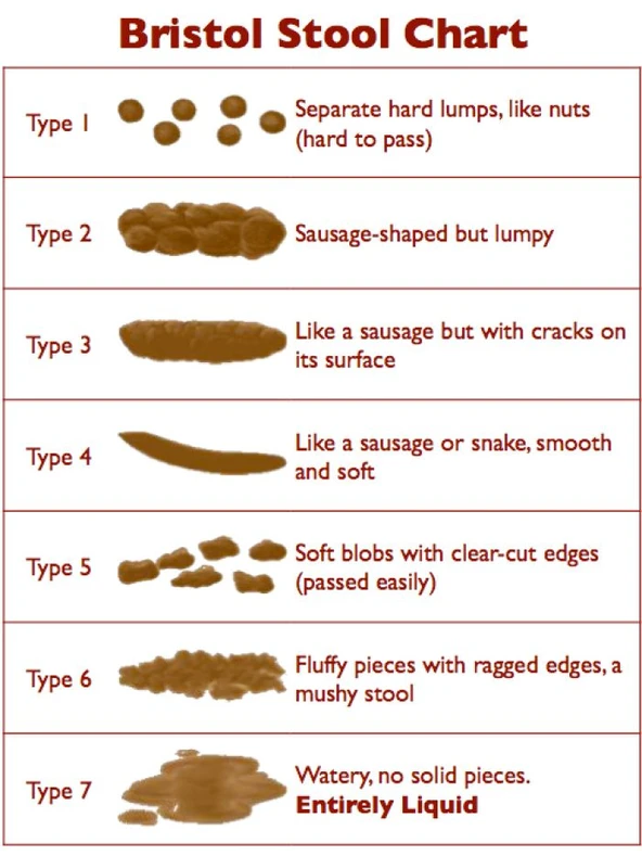 the Bristol stool chart shows what a healthy stool looks like and is important for home remedies for constipation